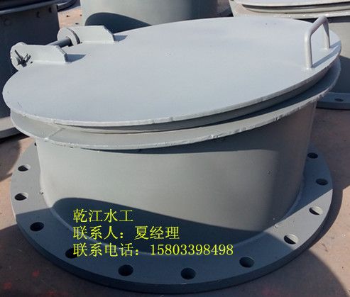 鋼制拍門 鋼制拍門