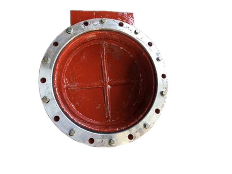 法蘭連接鑄鐵拍門